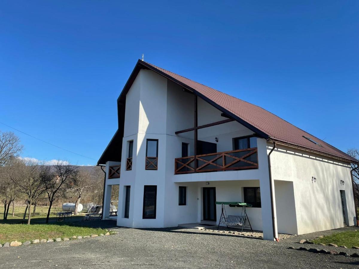 Pensiunea Rnb Maramures Surdesti  Екстериор снимка