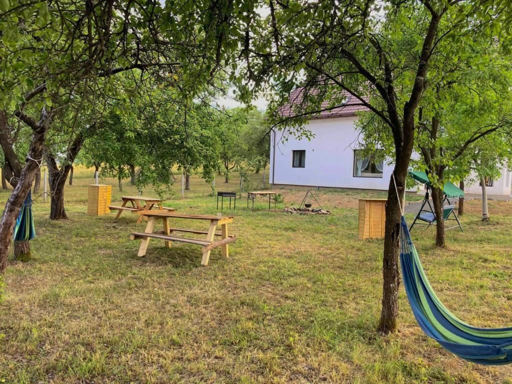 Pensiunea Rnb Maramures Surdesti  Екстериор снимка