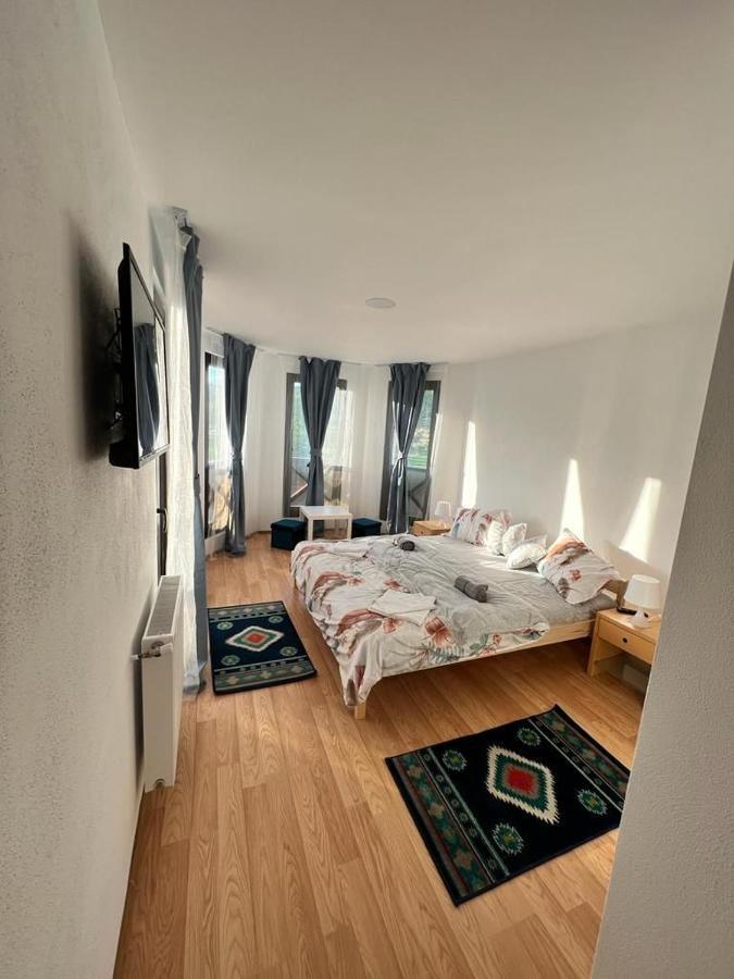 Pensiunea Rnb Maramures Surdesti  Екстериор снимка