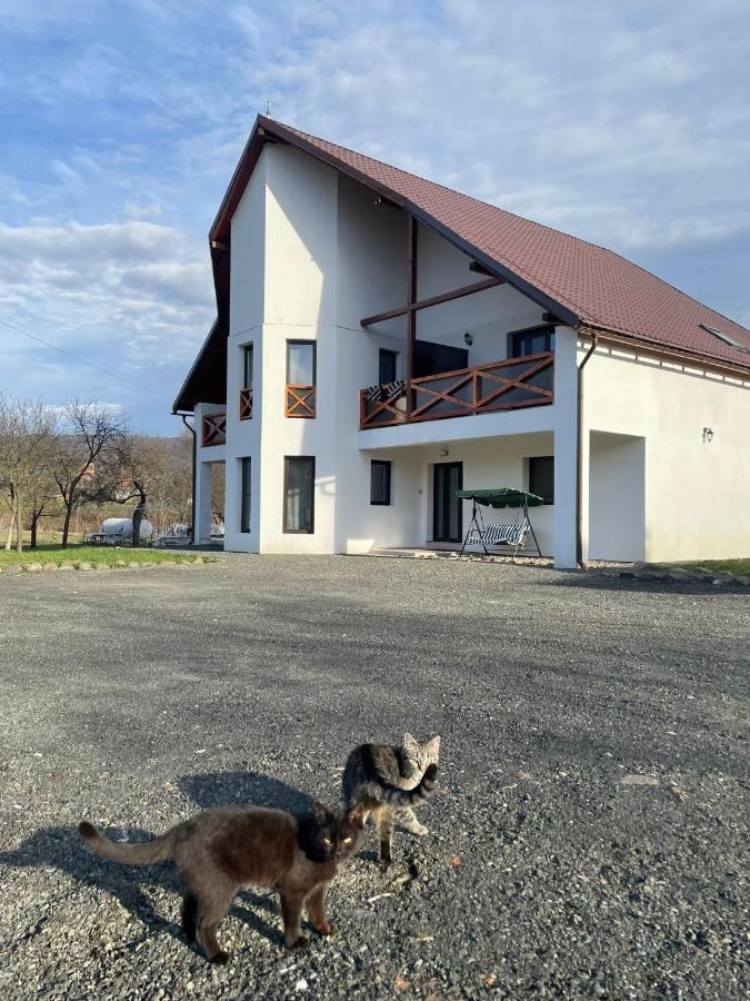 Pensiunea Rnb Maramures Surdesti  Екстериор снимка